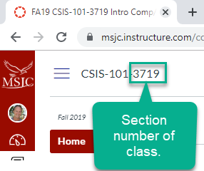 Tip: The Section number for your class is listed after the course number at the top-left of the Canvas page.
