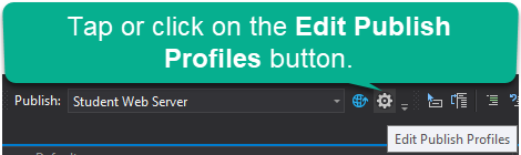Image of a gear shaped button. The tool tip underneath reads “Edit Publish Profile”.