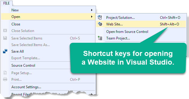 Image displaying the File-->Open-->Website menu.