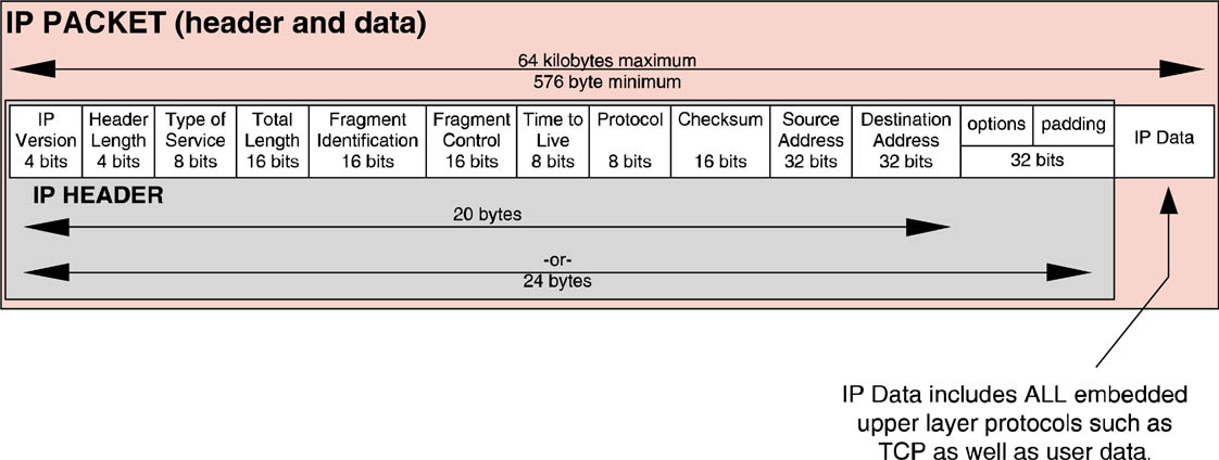 Field diagram of the IP version 4 header.